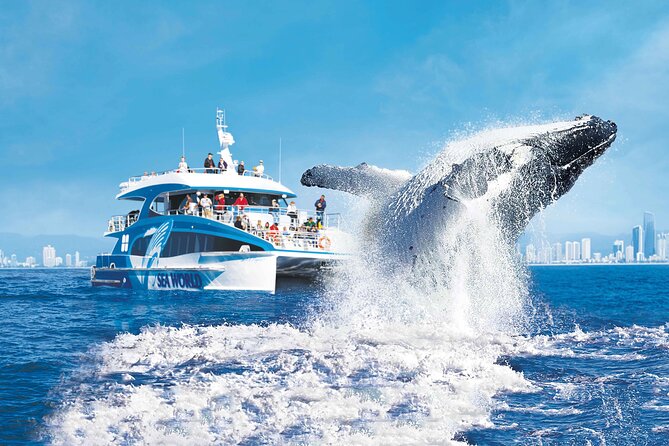 1.5 hr Jet Ski Safari tour to South Stradbroke Island! - Weekend breakfast safari option