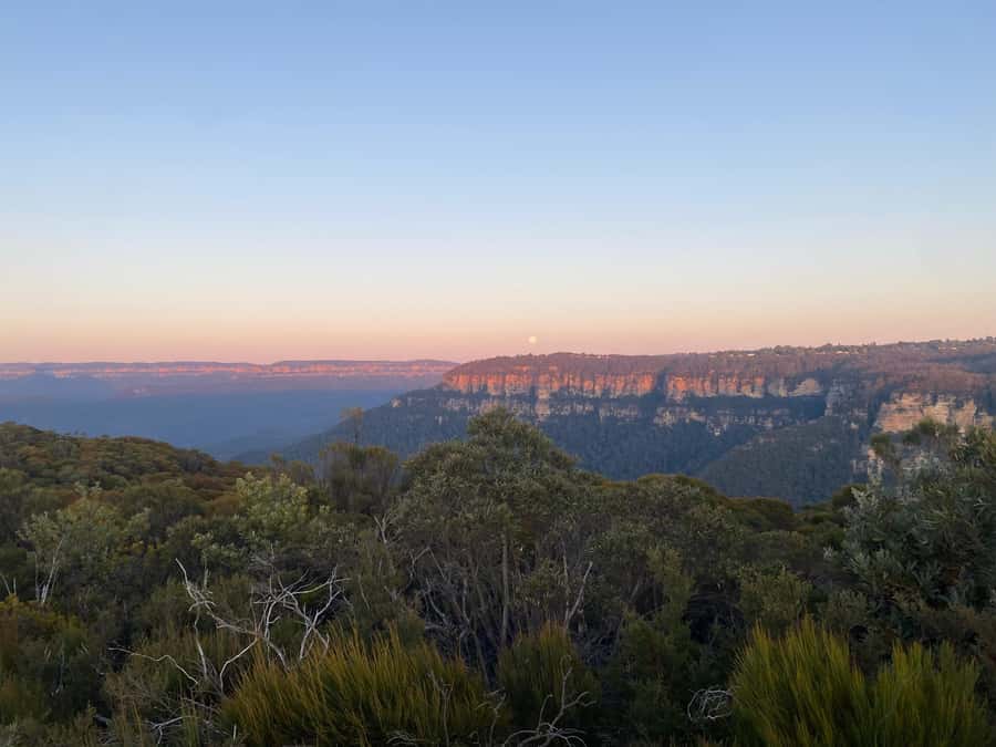 #1 Blue Mountains Tour Scenic World Waterfalls Wildlife Park - Who should book this day out?