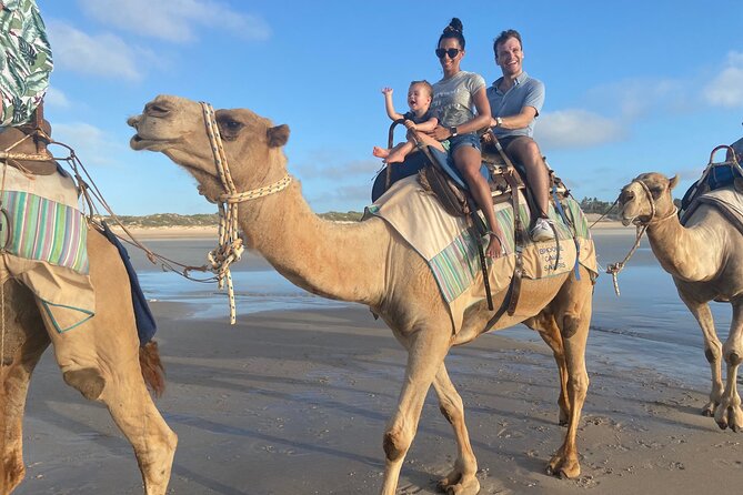 1 Hour Broome Sunset Camel Tour - Key points at a glance
