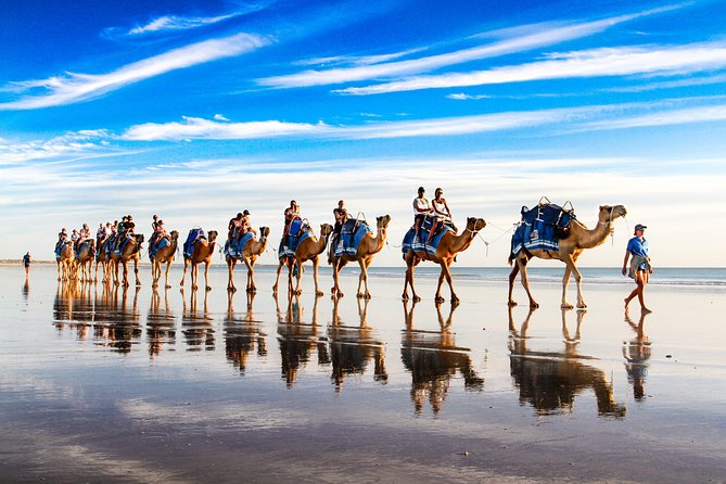 1 Hour Broome Sunset Camel Tour - Meeting the camels and the people behind the tour