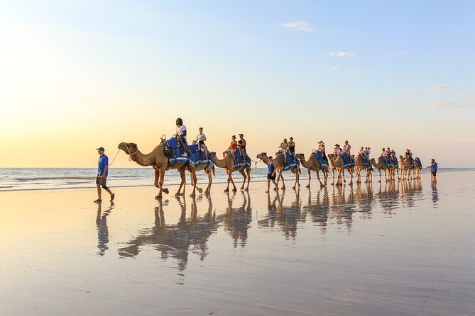 1 Hour Broome Sunset Camel Tour - Finding the blue camels at Cable Beach