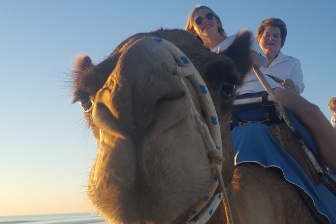 1 Hour Broome Sunset Camel Tour - Is $125 good value for one hour?