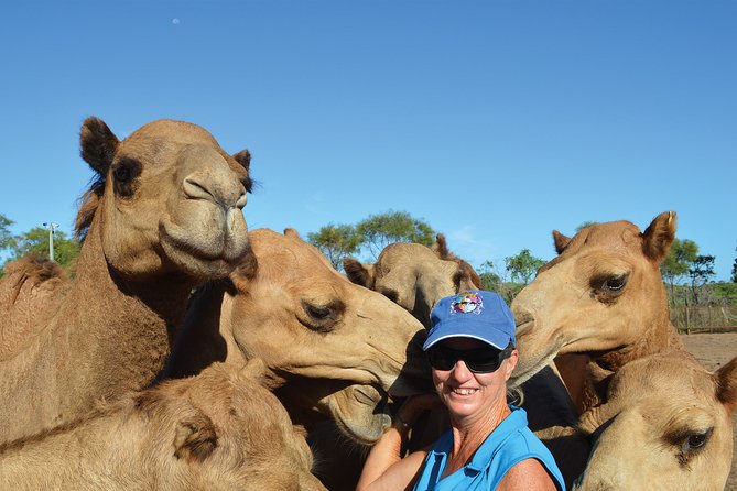 1 Hour Broome Sunset Camel Tour - Who will enjoy this most?