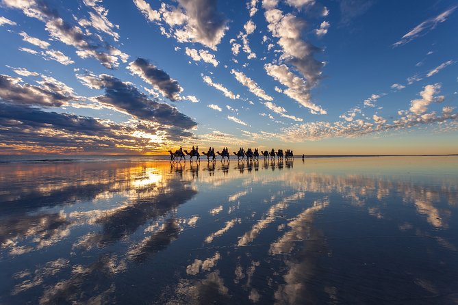 1 Hour Broome Sunset Camel Tour - The one-hour route along Cable Beach