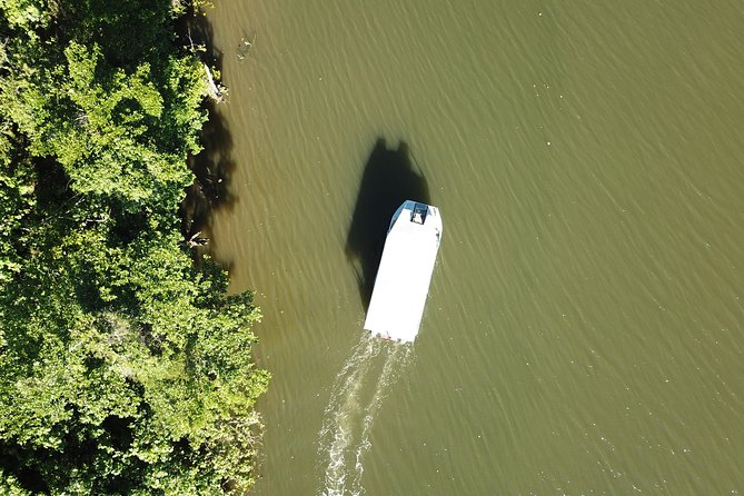 1-Hour Daintree River wildlife cruise - One hour of crocodiles, birds, and river stories