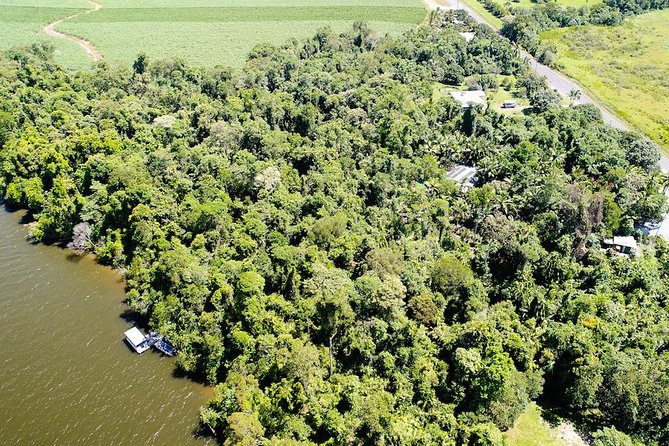1-Hour Daintree River wildlife cruise - Weather, comfort, and what to pack