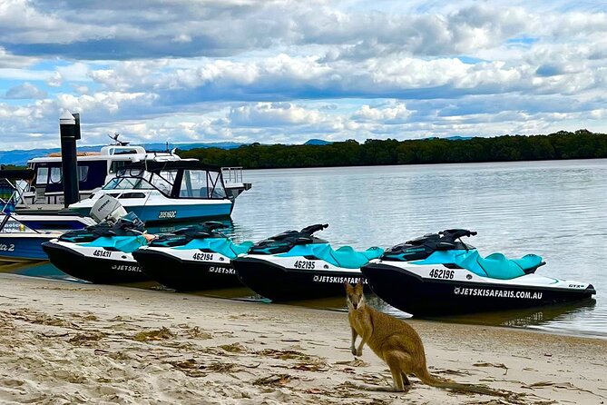 1hr Jet Ski Safari - Who will enjoy this most?