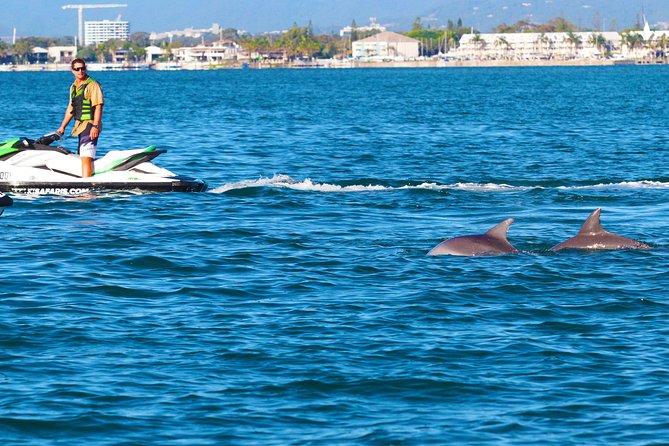 1hr Jet Ski Safari - Guides who shape the day