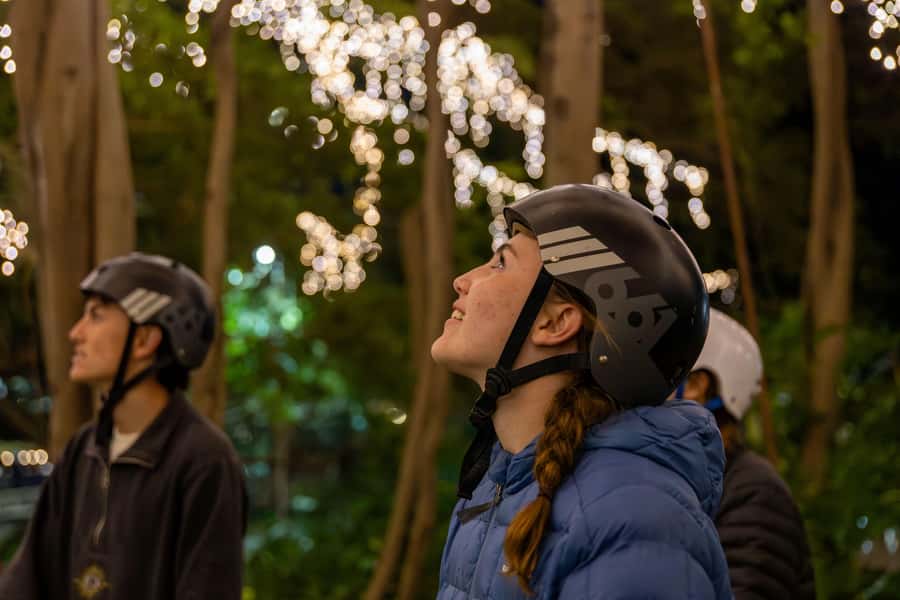 2.5 Hour Brisbane: Sightseeing Tours - Morning & Night - The first 30 minutes: learning to ride