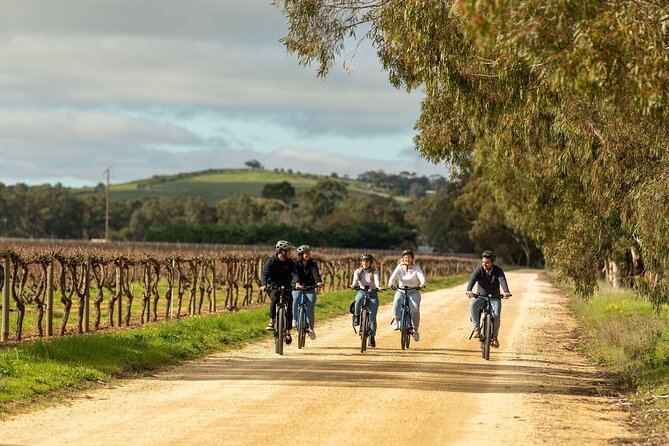 2-Hour Kayaking Experience in Barossa Valley - A good match for families, couples, and groups