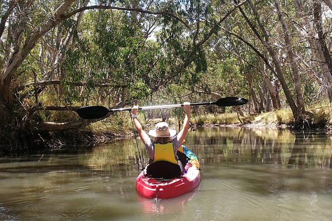 2-Hour Kayaking Experience in Barossa Valley - Choosing between a single and double kayak