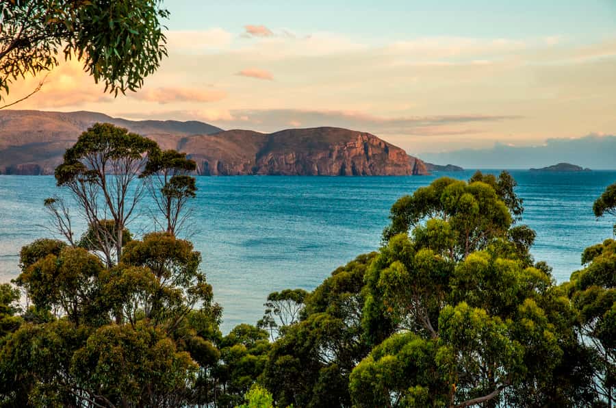 3D Tasmanian Highlights: Hobart, Port Arthur & Bruny Island - How the transport and timing work