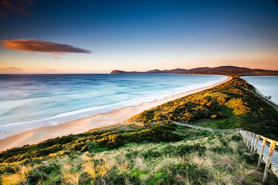3D Tasmanian Highlights: Hobart, Port Arthur & Bruny Island - Day two: Bruny Island by ferry and road