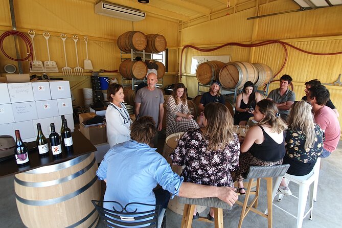 7- 8 Hour StelaVino Guided Wine Tours From Hobart, Tasmania - What the price of $132.69 includes