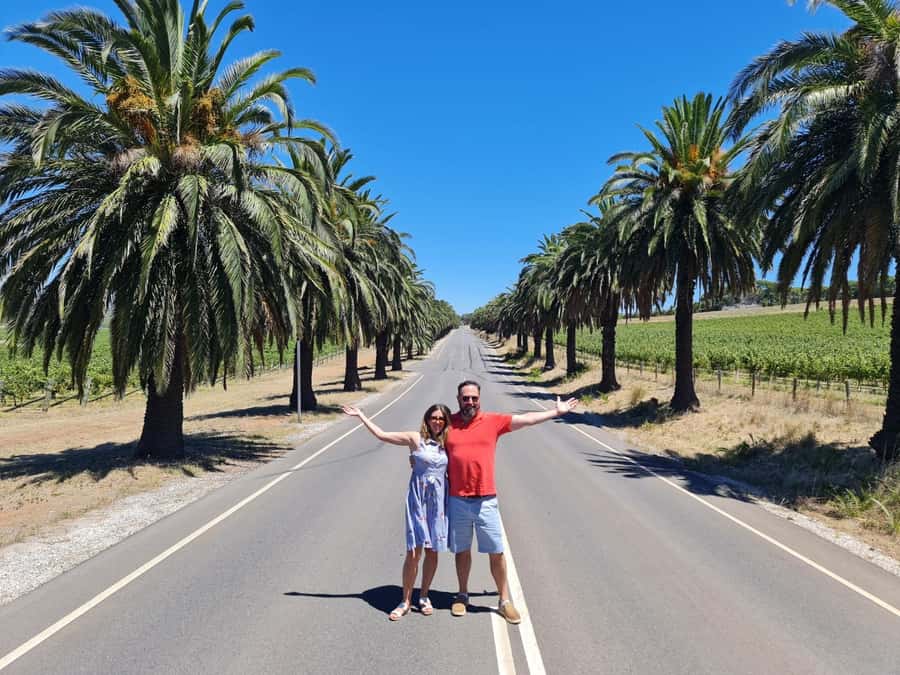 A Barossa Valley pickup: Wine and Heritage Tour, Local Guide - First cellar doors: boutique wine before the lunch stop
