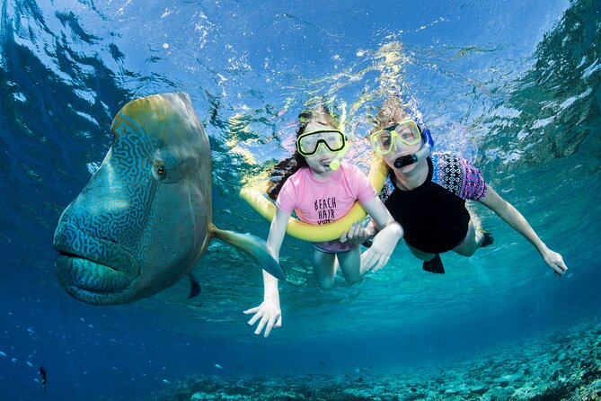 ABC Reef Safaris - A reef briefing before you enter the water