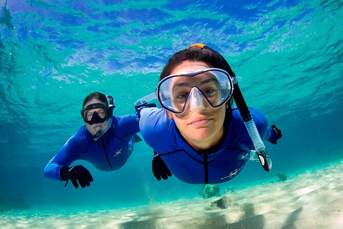 ABC Reef Safaris - Two outer reef sites, not one quick swim