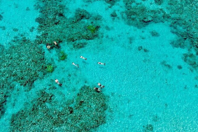 ABC Reef Safaris - Equipment that helps first-timers