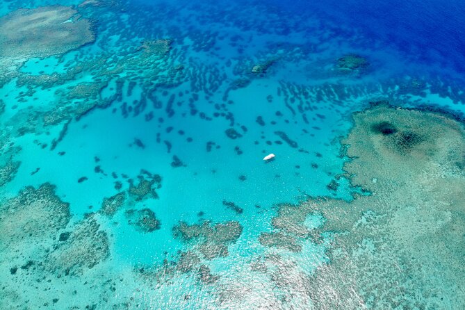 ABC Reef Safaris - Lunch, hot drinks, and the comfort factor