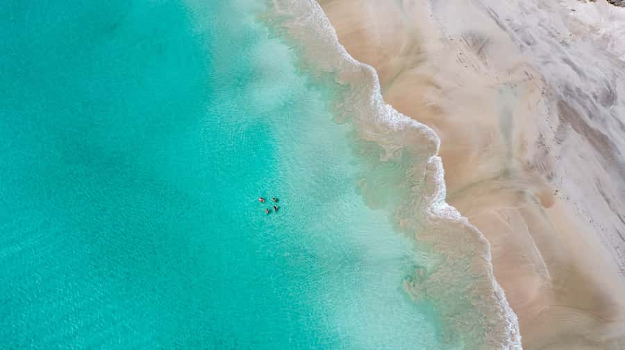 Adelaide: 3-Day Kangaroo Island Adventure Tour with Camping - Swimming, koalas, and the quiet beaches of the north