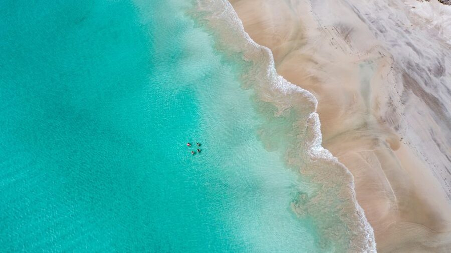 Adelaide: 3-Day Kangaroo Island Adventure Tour with Camping - Seal Bay and the island’s endangered sea lions