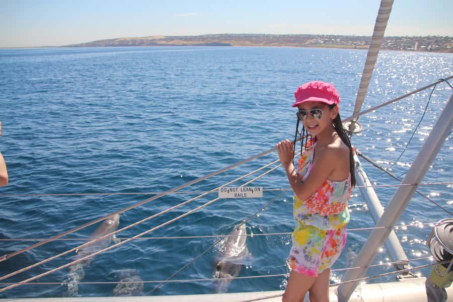 Adelaide: 4-Hour Guaranteed Wild Dolphin Watching Cruise - Watching or swimming with dolphins