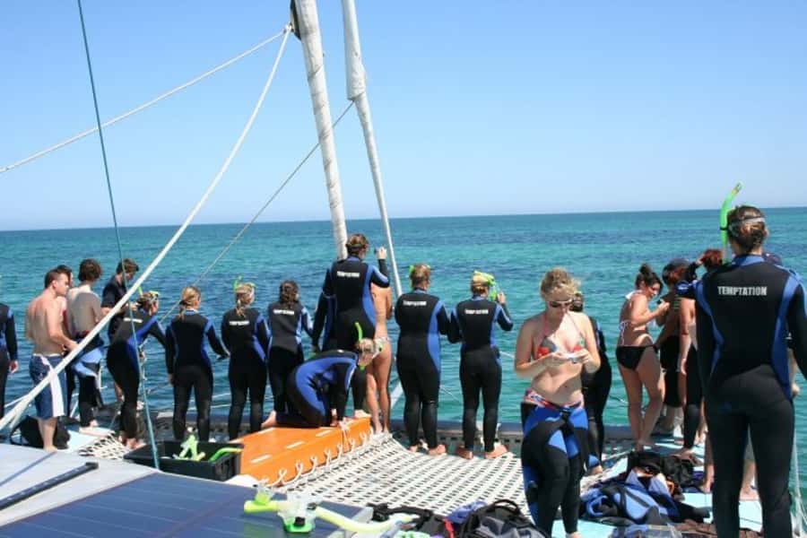 Adelaide: 4-Hour Swimming with Dolphins Experience - How much value do you get for $105?