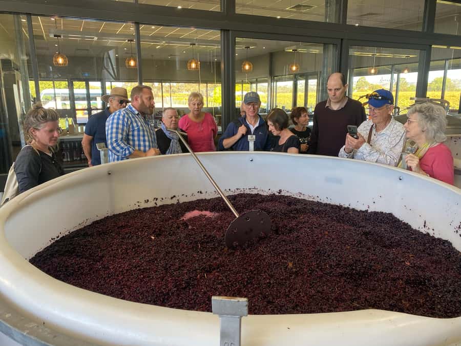 Adelaide: Barossa Premium Wine Tasting tour & Winery Lunch - Menglers Hill and the Barossa view