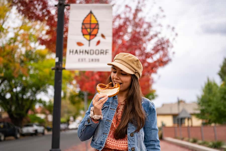 Adelaide: City, Adelaide Hills Villages, and Hahndorf Tour - The short climb to Mount Lofty Summit