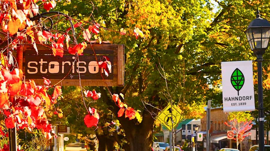 Adelaide City Highlights Half-Day Tour, Mt Lofty & Hahndorf - Adelaide’s landmarks from Victoria Square to North Terrace