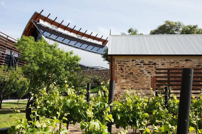 Adelaide City Highlights Tour - Practical tips for a better morning
