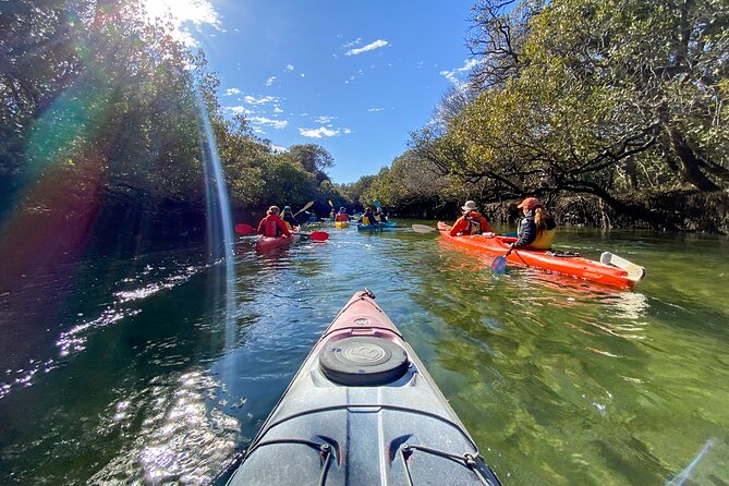 Adelaide Dolphin Sanctuary and Ships Graveyard Kayak Tour - Why the Port River makes such a good kayak setting