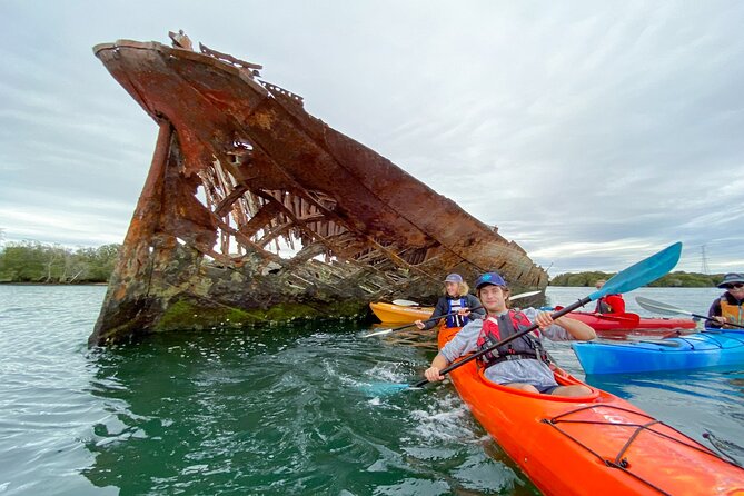 Adelaide Dolphin Sanctuary and Ships Graveyard Kayak Tour - Through the Adelaide Dolphin Sanctuary
