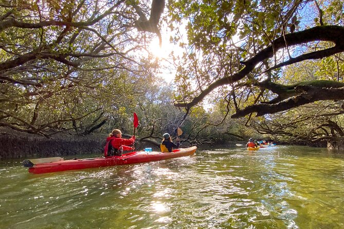 Adelaide Dolphin Sanctuary and Ships Graveyard Kayak Tour - How much effort does the three-hour paddle require?