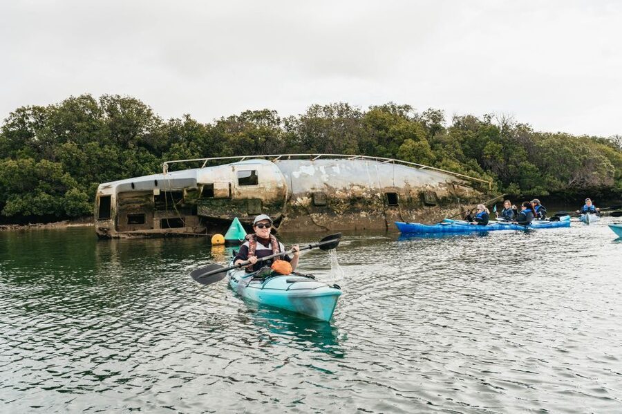 Adelaide: Dolphin Sanctuary Eco Kayaking Tour - Should you book the Adelaide Dolphin Sanctuary kayak tour?