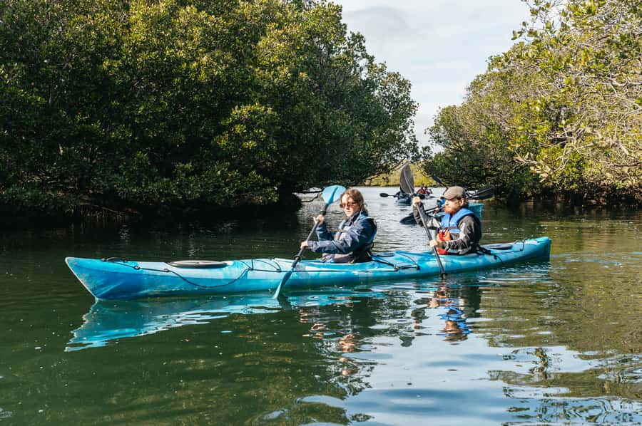 Adelaide: Dolphin Sanctuary Eco Kayaking Tour - Old shipwrecks and the changing route