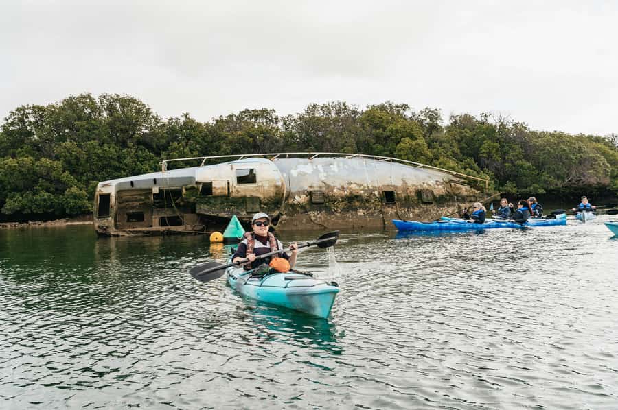Adelaide: Dolphin Sanctuary Eco Kayaking Tour - Birds, fish, and the quiet value of the mangroves