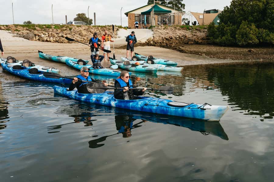 Adelaide: Dolphin Sanctuary Eco Kayaking Tour - What to bring for a more comfortable outing