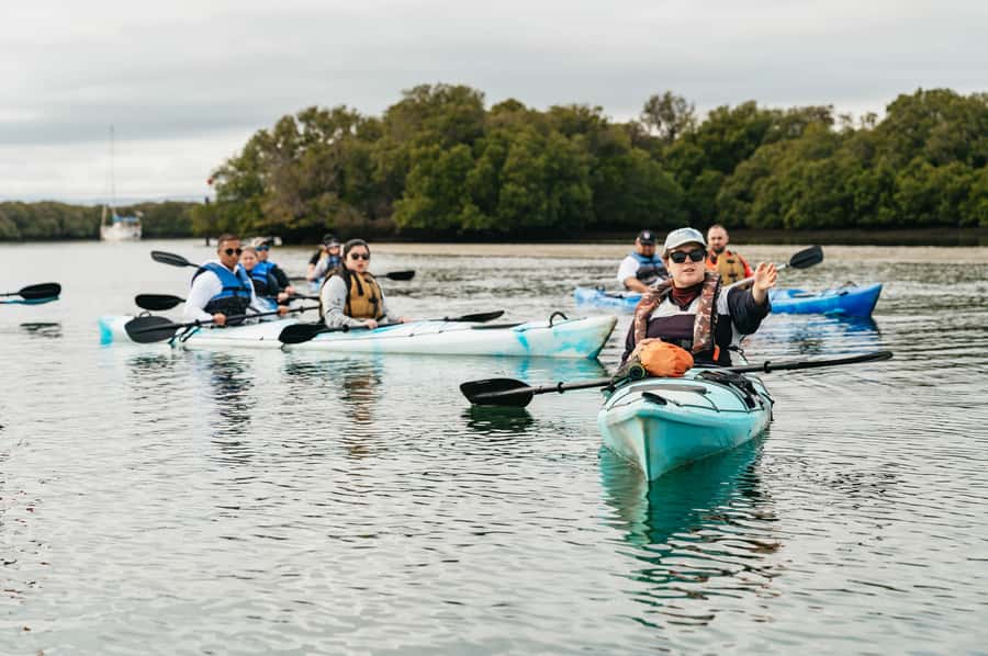 Adelaide: Dolphin Sanctuary Eco Kayaking Tour - Who will enjoy this tour most?