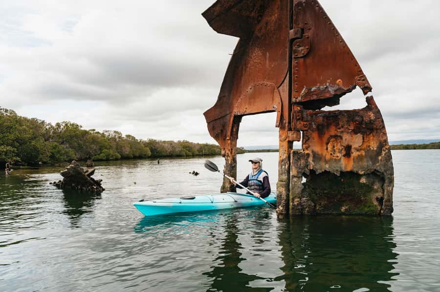 Adelaide: Dolphin Sanctuary Eco Kayaking Tour - What the 15-minute briefing really adds
