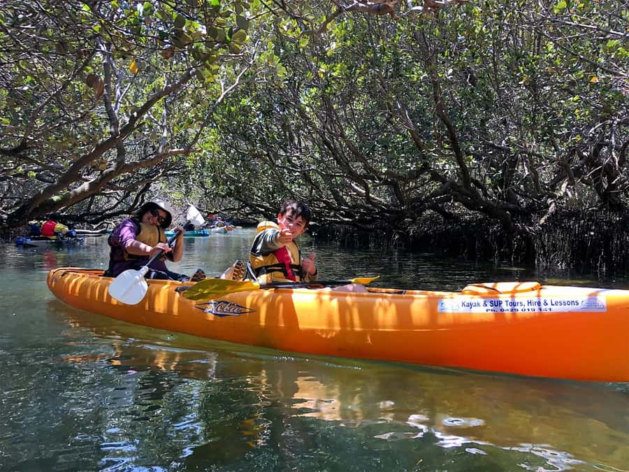 Adelaide: Dolphin Sanctuary Single or Double Kayak Rental - Choosing a single or double kayak