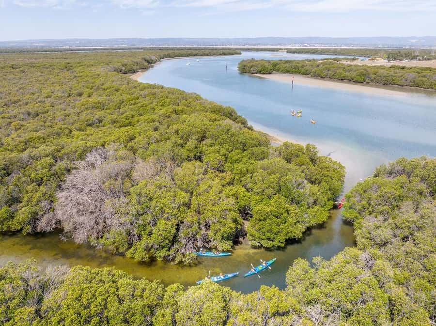 Adelaide: Dolphin Sanctuary Single or Double Kayak Rental - The safety briefing and launch