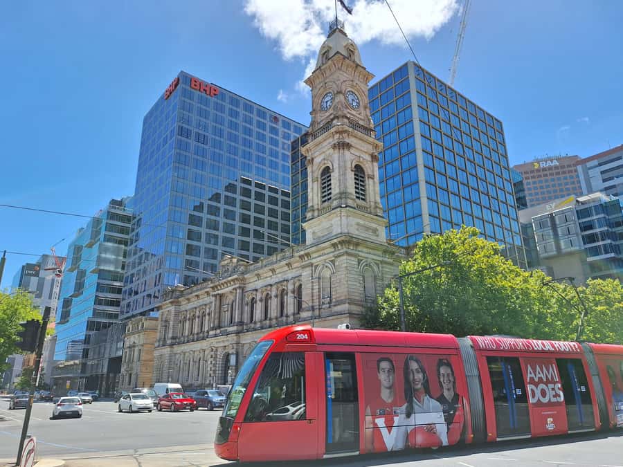 Adelaide: Guided Ultimate Walking Tour with Drink and Snack - What the guide adds to the experience