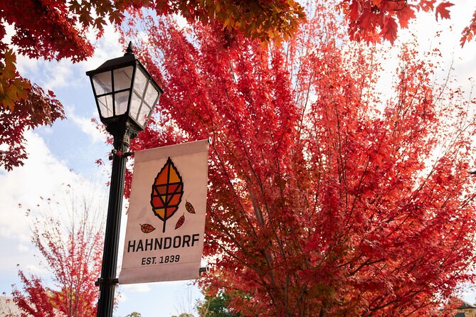 Adelaide Highlights, Hahndorf & McLaren Vale Wine Tasting and Sightseeing Tour - Haselgrove Wines and a slower tasting pace