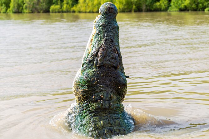 Adelaide River Cruises - Jumping Crocodile Experience - Why this Adelaide River cruise is so memorable
