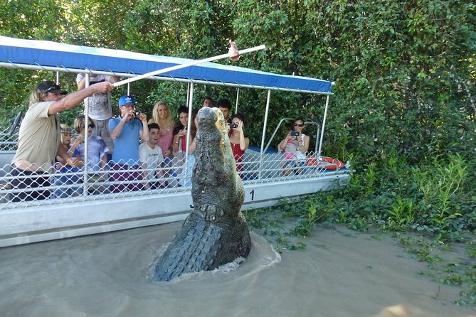 Adelaide River Cruises - Jumping Crocodile Experience - What happens during the one-hour cruise