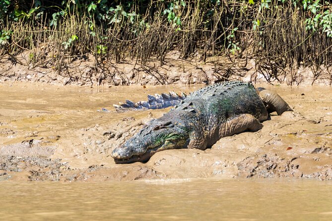 Adelaide River Cruises - Jumping Crocodile Experience - Who will enjoy this most?