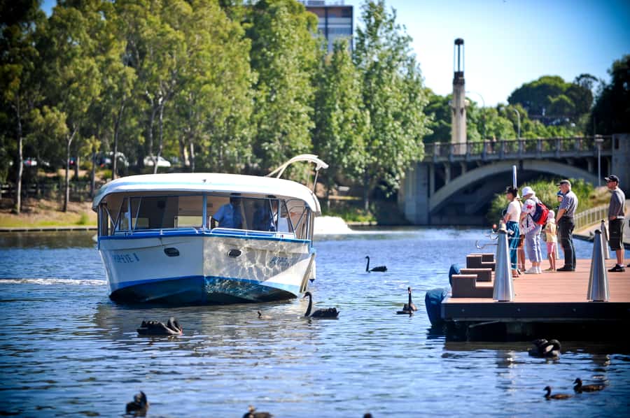 Adelaide: River Torrens Popeye Devonshire Tea Cruise - Boarding at Elder Park Landing