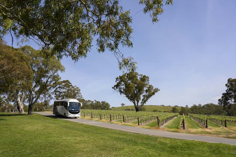 Adelaide: Small Group Tour of Barossa, Wineries with Lunch - A short extra stop keeps the day moving