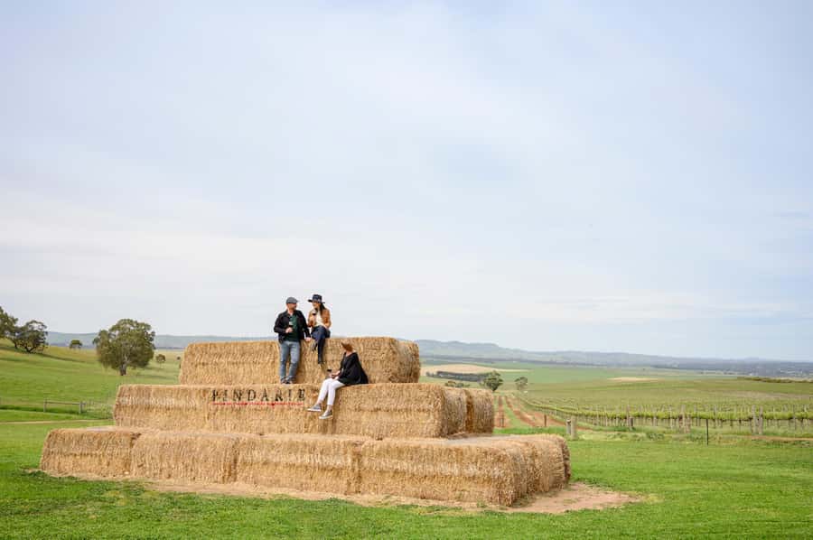 Adelaide: Small Group Tour of Barossa, Wineries with Lunch - Tanunda offers a short taste of local town life
